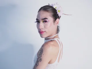 Profile preview